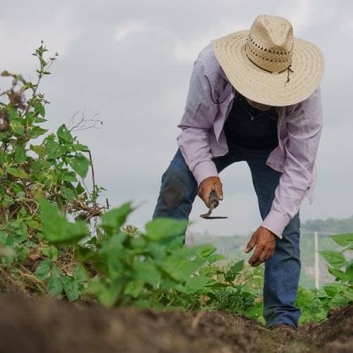 ไต้หวัน 1