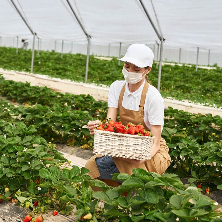 ไต้หวัน 8