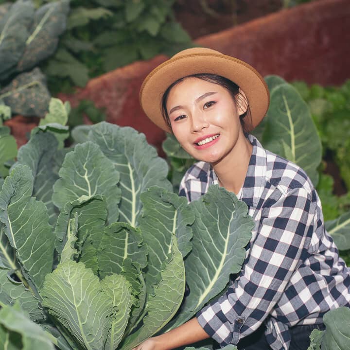 ไต้หวัน 6