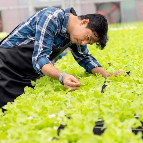 ไต้หวัน 5